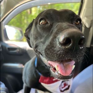 Meet your Posher, Travis